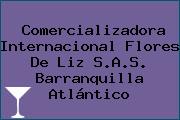 Comercializadora Internacional Flores De Liz S.A.S. Barranquilla Atlántico