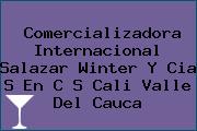 Comercializadora Internacional Salazar Winter Y Cia S En C S Cali Valle Del Cauca