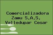 Comercializadora Zamu S.A.S. Valledupar Cesar