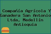 Compañía Agrícola Y Ganadera San Antonio Ltda. Medellín Antioquia