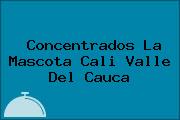 Concentrados La Mascota Cali Valle Del Cauca