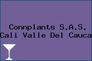 Connplants S.A.S. Cali Valle Del Cauca