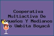 Cooperativa Multiactiva De Pequeños Y Medianos Pro Umbita Boyacá