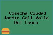 Cosecha Ciudad Jardín Cali Valle Del Cauca