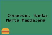 Cosechas. Santa Marta Magdalena