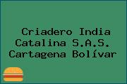 Criadero India Catalina S.A.S. Cartagena Bolívar