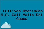 Cultivos Asociados S.A. Cali Valle Del Cauca