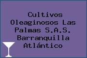 Cultivos Oleaginosos Las Palmas S.A.S. Barranquilla Atlántico