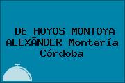 DE HOYOS MONTOYA ALEXÃNDER Montería Córdoba
