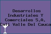 Desarrollos Industriales Y Comerciales S.A. Cali Valle Del Cauca