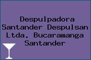 Despulpadora Santander Despulsan Ltda. Bucaramanga Santander