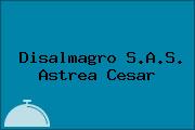 Disalmagro S.A.S. Astrea Cesar