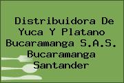 Distribuidora De Yuca Y Platano Bucaramanga S.A.S. Bucaramanga Santander