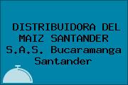 DISTRIBUIDORA DEL MAIZ SANTANDER S.A.S. Bucaramanga Santander