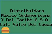 Distribuidora México Sudamericana Y Del Caribe 6 S.A. Cali Valle Del Cauca
