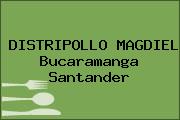DISTRIPOLLO MAGDIEL Bucaramanga Santander