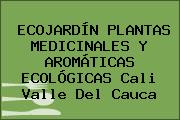 ECOJARDÍN PLANTAS MEDICINALES Y AROMÁTICAS ECOLÓGICAS Cali Valle Del Cauca