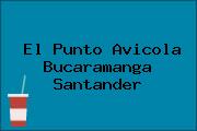 El Punto Avicola Bucaramanga Santander
