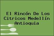 El Rincón De Los Citricos Medellín Antioquia