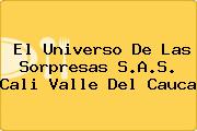 El Universo De Las Sorpresas S.A.S. Cali Valle Del Cauca