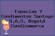 Especias Y Condimentos Santoyo S.A.S. Bogotá Cundinamarca