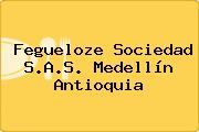 Fegueloze Sociedad S.A.S. Medellín Antioquia