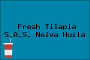 Fresh Tilapia S.A.S. Neiva Huila