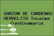 GARZON DE CARDENAS HERACLITA Tocaima Cundinamarca