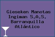 Gieseken Manotas Ingiman S.A.S. Barranquilla Atlántico