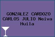 GONZALEZ CARDOZO CARLOS JULIO Neiva Huila