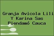 Granja Avicola Lili Y Karina Sas Piendamó Cauca