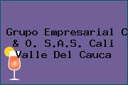 Grupo Empresarial C & O. S.A.S. Cali Valle Del Cauca