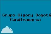 Grupo Qigony Bogotá Cundinamarca