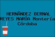 HERNÃNDEZ BERNAL REYES MARÚA Montería Córdoba