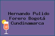Hernando Pulido Forero Bogotá Cundinamarca