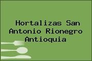 Hortalizas San Antonio Rionegro Antioquia