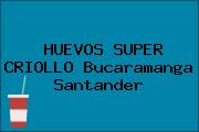 HUEVOS SUPER CRIOLLO Bucaramanga Santander