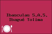 Ibasculas S.A.S. Ibagué Tolima
