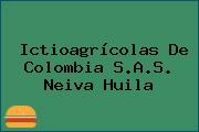 Ictioagrícolas De Colombia S.A.S. Neiva Huila