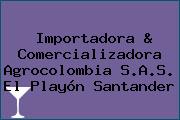 Importadora & Comercializadora Agrocolombia S.A.S. El Playón Santander