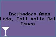 Incubadora Ases Ltda. Cali Valle Del Cauca