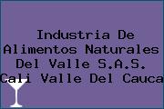 Industria De Alimentos Naturales Del Valle S.A.S. Cali Valle Del Cauca