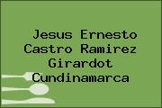 Jesus Ernesto Castro Ramirez Girardot Cundinamarca