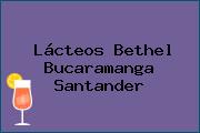 Lácteos Bethel Bucaramanga Santander