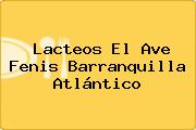 Lacteos El Ave Fenis Barranquilla Atlántico