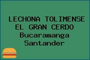 LECHONA TOLIMENSE EL GRAN CERDO Bucaramanga Santander