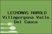 LECHONAS HAROLD Villagorgona Valle Del Cauca