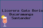 Licorera Gato Boris Bucaramanga Santander