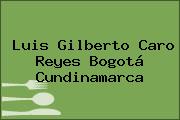 Luis Gilberto Caro Reyes Bogotá Cundinamarca