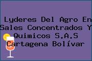 Lyderes Del Agro En Sales Concentrados Y Quimicos S.A.S Cartagena Bolívar